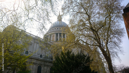 St Paul's Cathedral London, through the Trees