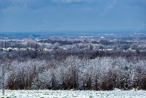 Bielsko-Biała, zimowa panorama, śnieg, drzewa, domy, horyzont.