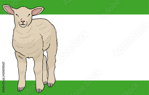 Schaf Illustration freigestellt