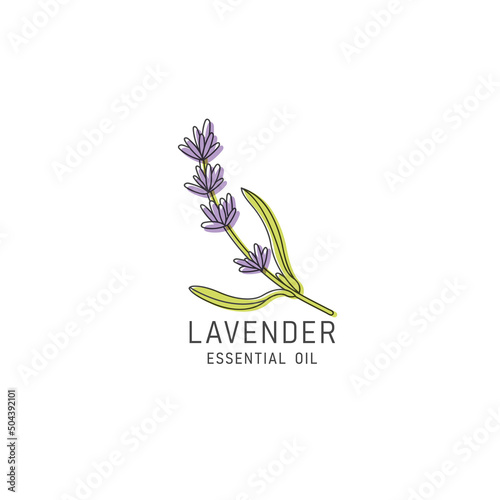 Vector packaging design element and icon in linear style - lavender oil - healthy vegan food. Logo sign.