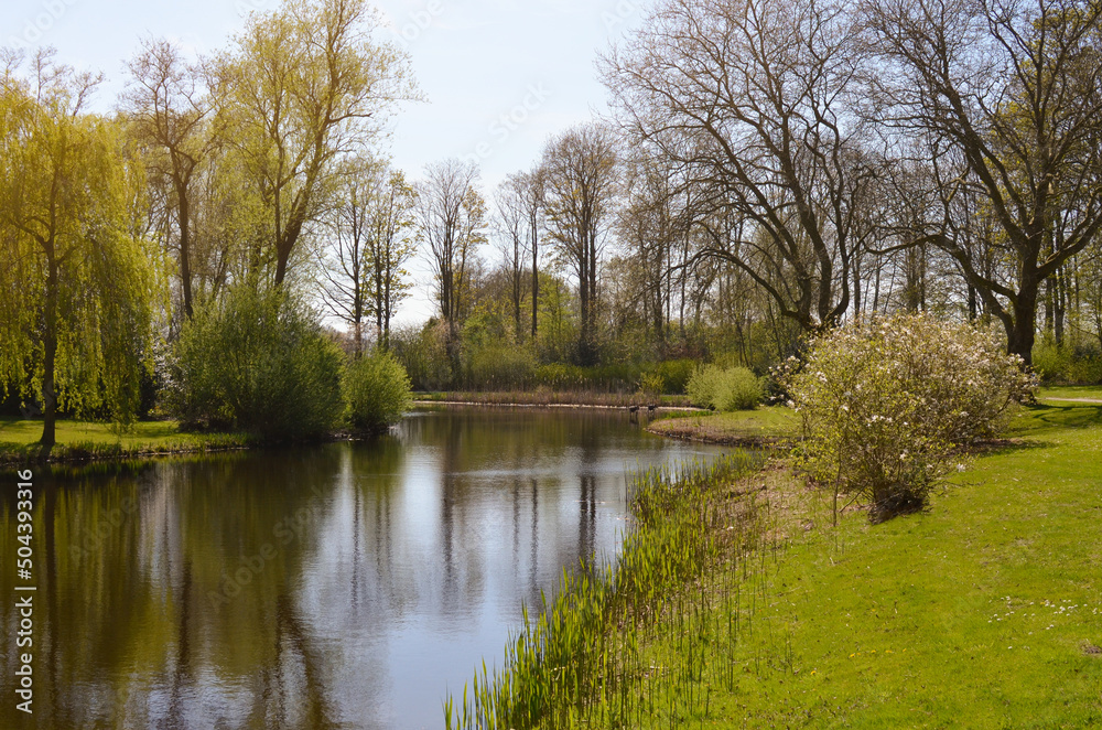 Beautiful vegetation and pond on sunny day. Picturesque spring landscape