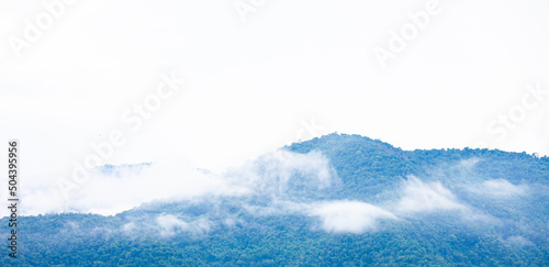 Fototapeta Naklejka Na Ścianę i Meble -  Blue mountains and mist envelop the peaks. Great nature. Khao Yai. Rainforest. Nature background.