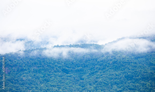 Blue mountains and mist envelop the peaks. Great nature. Khao Yai. Rainforest. Nature background. © kheartmanee