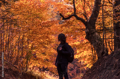 Woman in gold forest, autumn, dziewczyna w jesiennym lesie