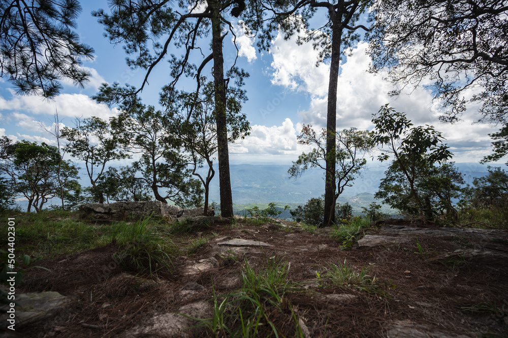 Beautiful scenery view of deang Cliff on Phu Kradueng mountain national park in Loei City Thailand.Phu Kradueng mountain national park the famous Travel destination