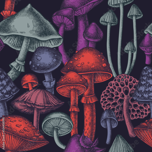 Forest mushrooms seamless pattern background design. Engraved style. Hand drawn mushrooms.