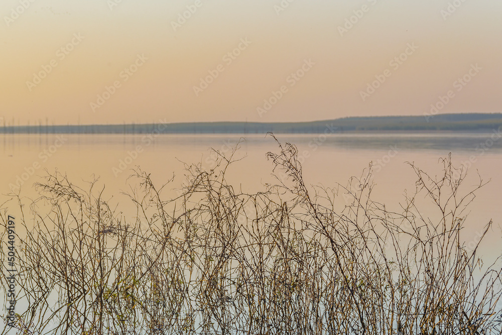 Grande Stream Landscape, Flores, Uruguay