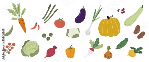 Fototapeta Naklejka Na Ścianę i Meble -  Various vegetables. Organic healphy food. Vector cartoon crops ingredients