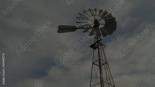 Windmill on Farmland. There are cattle drinking from a water hole. There is also a windmill in the scene. Texas style western mill photo