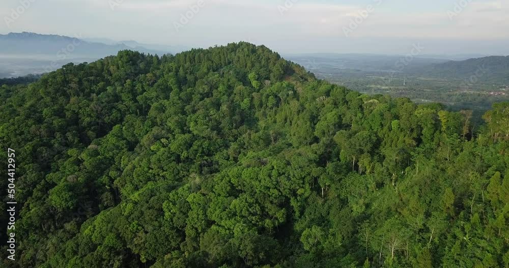 Large Trees growing on mountain of Asia surrounded by tropical landscape in summer - aerial drone shot Large Trees growing on mountain of Asia surrounded by tropical landscape in summer - aerial drone shot