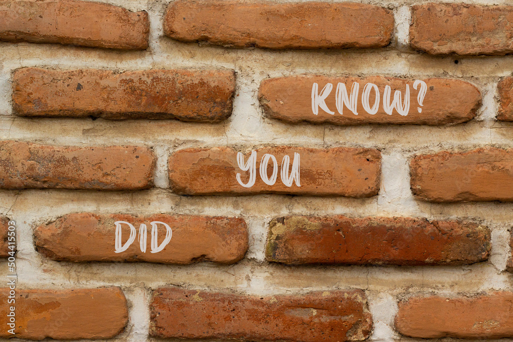 Did you know symbol. Concept words Did you know on brick wall. Beautiful brick wall background. Business and did you know quote concept. Copy space. Did you know symbol. Concept words Did you know on brick wall. Beautiful brick wall background. Business and did you know quote concept. Copy space.