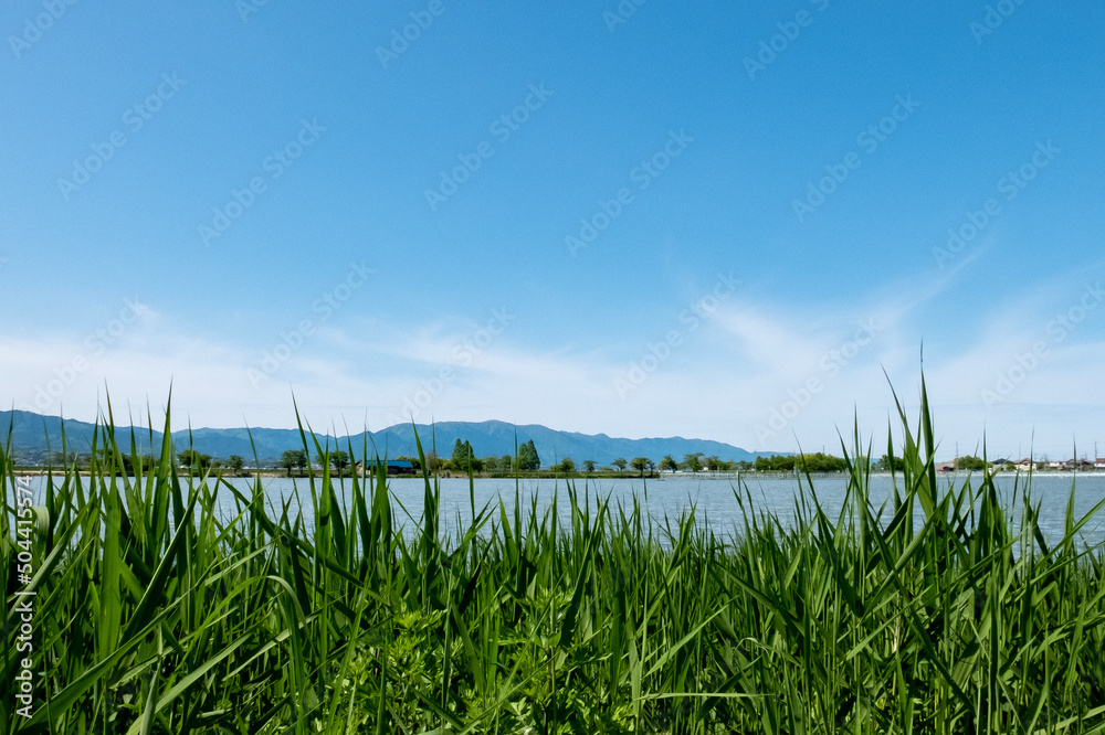 初夏の湖を散歩 初夏の湖を散歩
