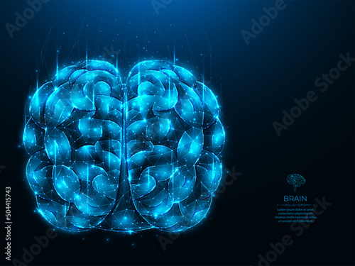 Polygonal vector illustration of a human brain on a dark blue background. Brain anatomy low poly art. Nervous system medical banner, template or background. Artificial intelligence concept
