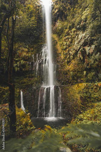 Waterfall around the levada faja do rodrigues trail on the island of Madeira  Portugal. A waterfall in the middle of an inescapable nature. Discovering a Portuguese island in the Atlantic Ocean
