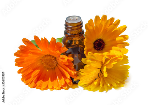 Cosmetic oil or perfume or medication in brown glass with  flowers of calendula