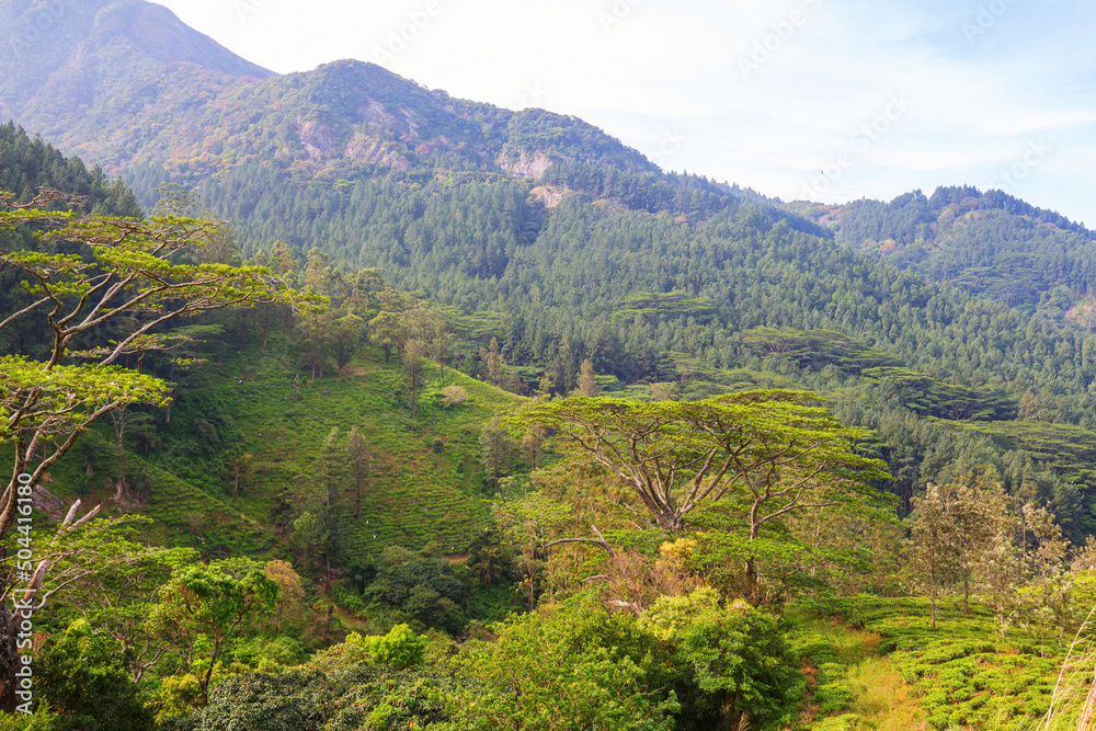 Mountains on Sri Lanka