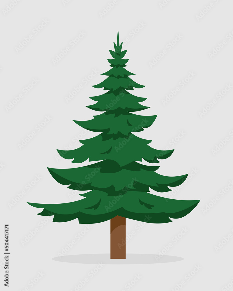 Fir Tree isolated on white background. Evergreen tree for nature or Christmas design. Vector flat or cartoon illustration.