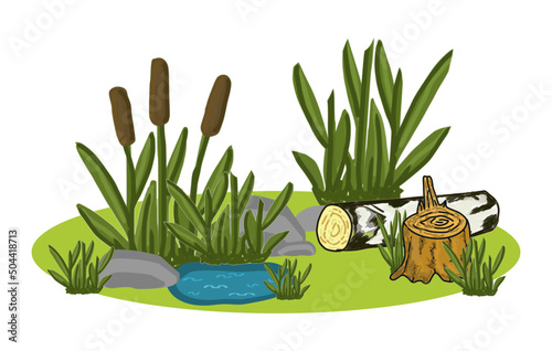 Cattail, reeds, stones, water, stump, colored landscape on a white background