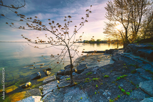 Fototapeta Naklejka Na Ścianę i Meble -  Stunning wide angle landscapes of south easter Ontario Canada featuring Lake Ontario with calm waters and the natural boreal forests of the region.  Enjoy parks and scenic hikes.