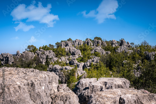 Mer des rochers or sea of rocks, a chaos of limestone rocks, in  Sauve, Gard, South of France