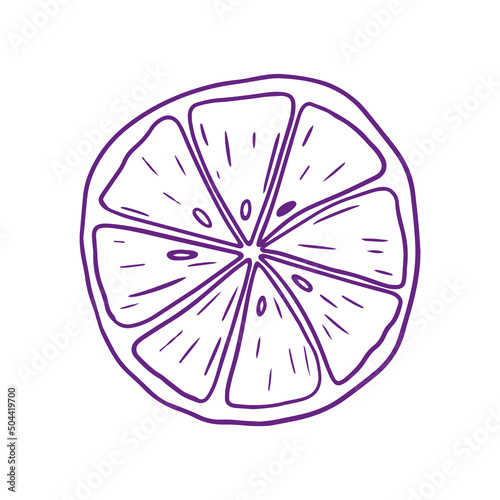 Slice of Lemon outline illustration. Pen Drawing immitation