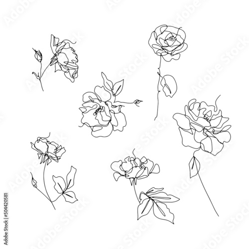 Set of one single line rose flower drawings. Black ink line floral clip art
