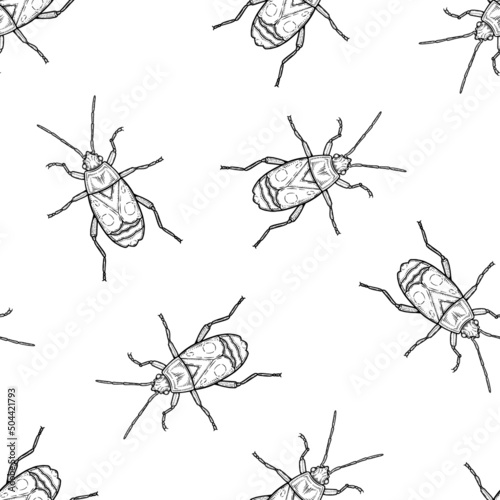 Seamless pattern of monochrome bugs illustration. Vector illustration template