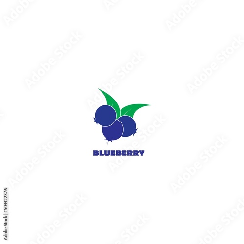 Blueberry logo vector template icon illustration