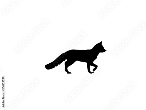 Fox Vector Art.Fox Vector Graphics.Fox looking away. Vector logo on isolated white background. Logo design template with fox. Vector illustration..eps