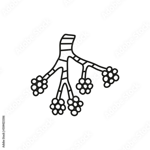 Doodle outline alveoli icon.