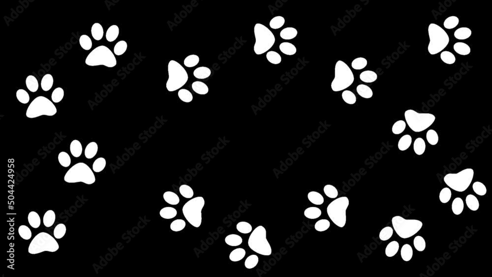 Background Traces of animal paws. Paw prints on black are isolated. Background Traces of animal paws. Paw prints on black are isolated.