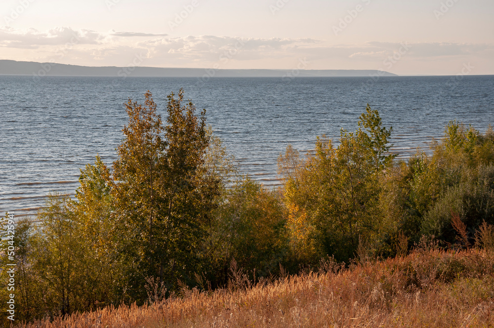 View of the lake from the high shore. Trees and shrubs grow around it. The contour light of the sunset penetrates through their leaves