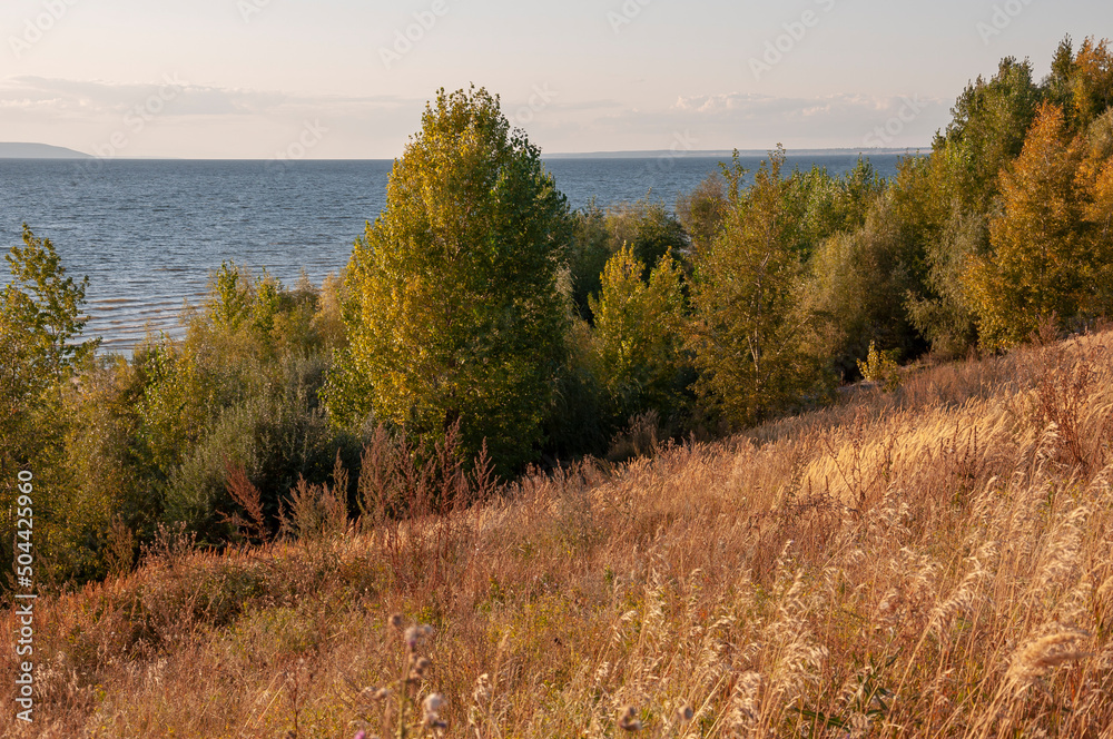 Fototapeta premium View of the lake from the high shore. Trees and shrubs grow around it. The contour light of the sunset penetrates through their leaves