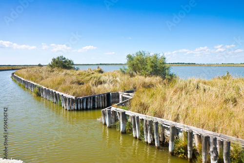 The Comacchio valleys are known worldwide for eel fishing - It is a UNESCO site and protected area in Ferrara city (Emilia Romagna - Italy)