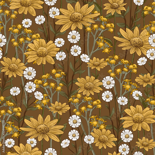 BROWN FLORAL SEAMLESS BACKGROUND WITH BLOOMING YELLOW RUDBECKIA, CINERARIA AND WHITE CHAMOMILE
