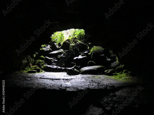 Light at the end of the tunnel. Green vegetation and moist shiny black volcanic rocks. Foreground unfocused. View from inside Kaumana Cave, a lava tube created by a 1881 lava flow. Hilo, Hawaii.