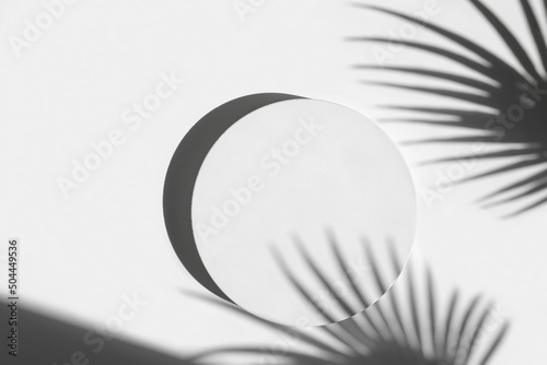 Podium for cosmetic product presentation. Abstract minimal geometrical Cylinder. Stone sphere one form, palm leaf shadow. Scene to show. Showcase, display case. Trendy sunlight. Flat lay, Top View. 3D