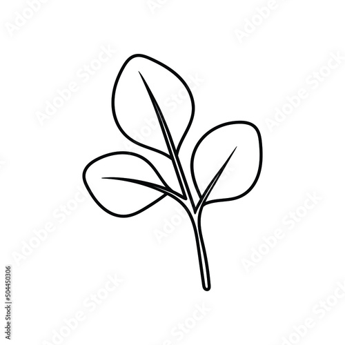 stem with eucalyptus leaves in doodle style, contour illustration of a tree branch with foliage, botanical linart