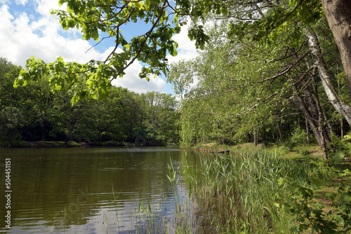 jungfernheidesee photo