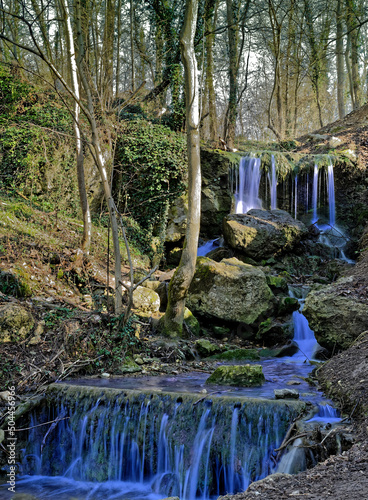 Cascade en forêt