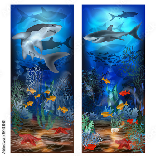Underwater banners with shark, vector illustration
