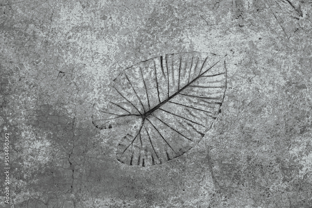 The leaf of a tropical plant is printed on hardened cement. Textured background