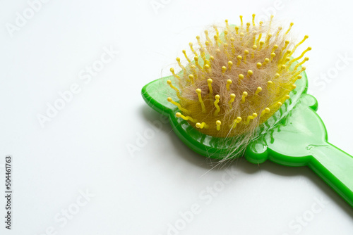 Cat brush with lump of cat hair on white background in close-up. Hair shedding in a cat.