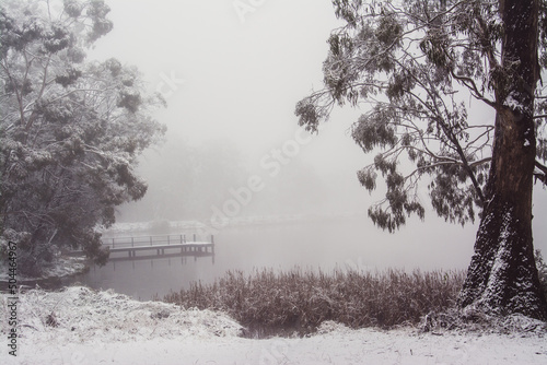 Bild auf Leinwand Sheba Dam in winter