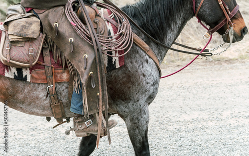 cowboy rides his horse at cattle farm photo