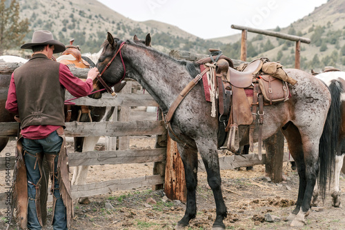cowboy prepares his horse at cattle farm photo