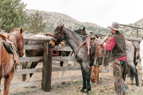 cowboy prepares his horse