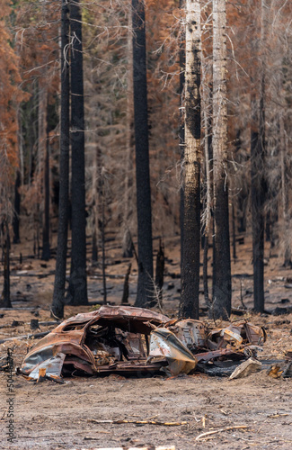 burned car from forest fire