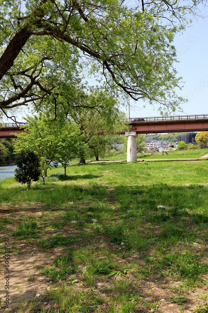 Tsunogoro, Sendai City,.Nature around Yodomi Bridge and Hirose River.