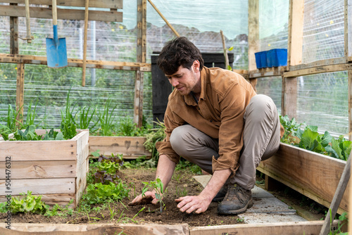 portrait of Young happy man planting vegetable plants in greenhouse  photo